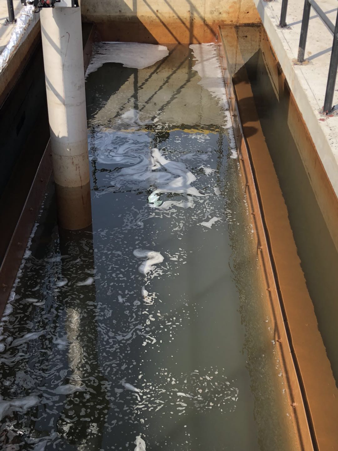 1667206068185124.jpg 4.jpg